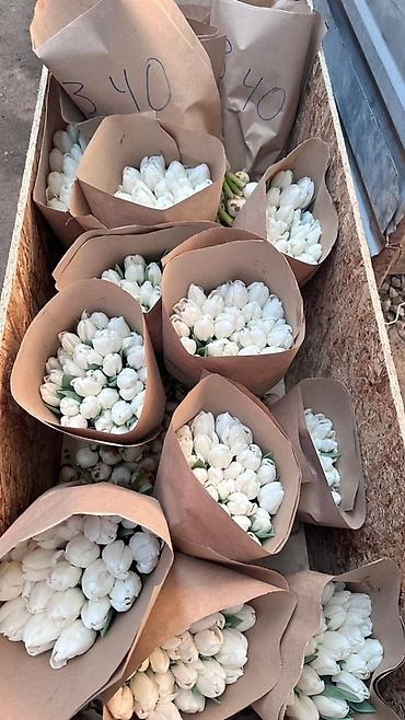 Букеты из живых цветов: Дорогие друзья! В продаже голландские тюльпаны выращенные в наших — 19