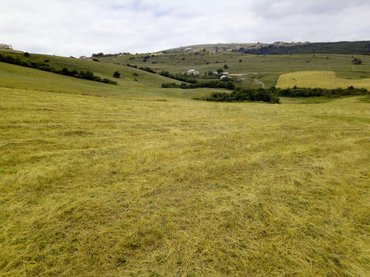 Torpaq sahələrinin satışı: 300 sot, Kənd təsərrüfatı, Mülkiyyətçi -da lalafo.az — 2 Torpaq sahələrinin satışı: 300 sot, Kənd təsərrüfatı, Mülkiyyətçi — 2