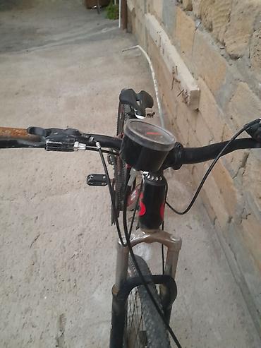 26 velo: Dağ velosipedi – “adidas” dizaynlı, 26" təkərli - Çərçivə: yüngül — 2