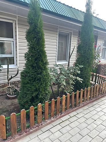 Иссык-Куль 2026: Номер, АНТАЛИЯ ЦО Голубой Иссык-Куль, Чолпон-Ата, Детская площадка, Охраняемая территория, Бассейн — 9