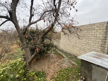 Köhnə tikili: 3 otaqlı rahat mənzil/interyer - Geniş qonaq otağı: divan, 6 nəfərlik — 7