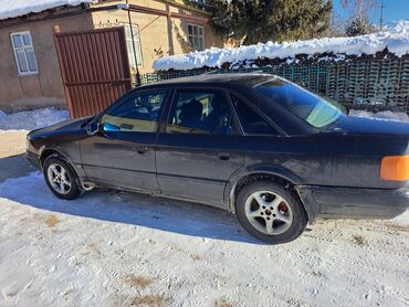 ауди струшка: Audi 100: 1993 г., 2.8 л, Механика, Бензин, Седан