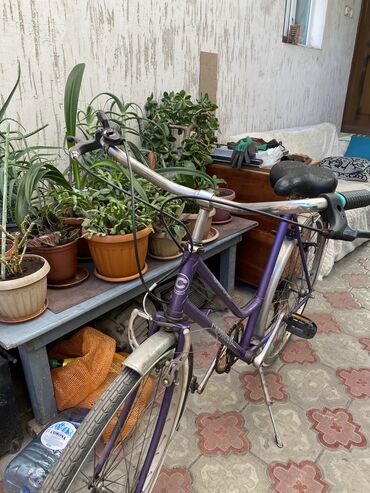 велосипед comanche: Городской велосипед, Другой бренд, Рама S (145 - 165 см), Сталь, Германия, Новый