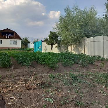 Продажа коттеджей и домов: 🏡Продаётся дом с участком в живописном селе Кара-Ой, на побережье — 22