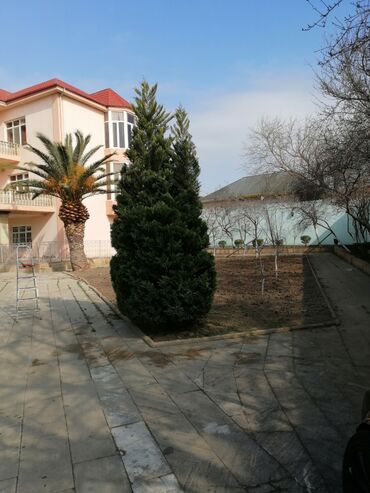 Bağbanlar: Bağban, 44 yaş, 5 ildən artıq təcrübə — 20