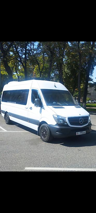 bwb e34: Бус на заказ Mercedes-Benz Sprinter пассажирский микроавтобус (длинная — 3