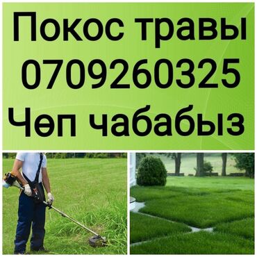 газоная трава: ЧОП ЧАБАБЫЗ Бишкек газонокосилка стрижка трава чоп чапкыч ЧОП