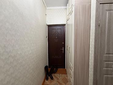 105серии: 1 комната, 33 м², Тунгуч мкр 105 серия, 5 этаж, Евроремонт — 7