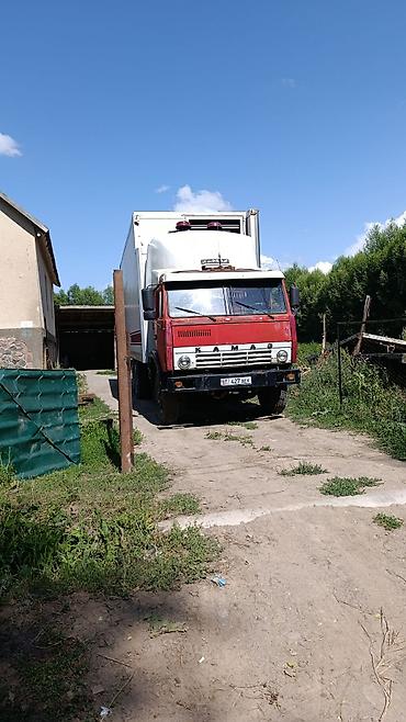 холодильник на даф: Тягач, Камаз, Холодильник, рефрижератор — 3