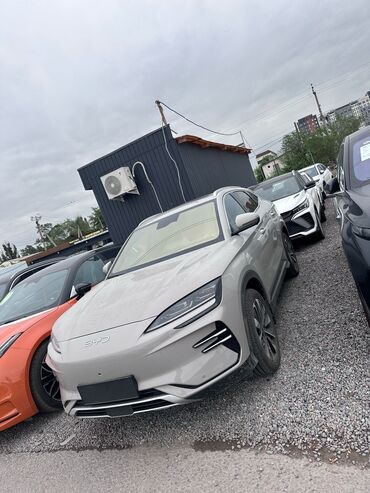 самая дорогая машина в кыргызстане: BYD