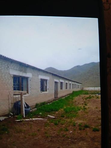 дом сколько стоит: Farm КРС, 52 соток, Действующий, Частично с оборудованием, Холодная вода — 4