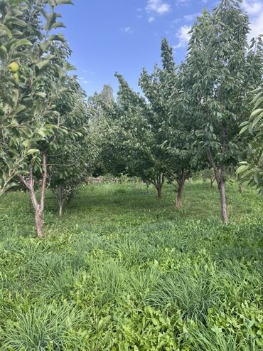 Продажа домов: Дом, 500 м², 6 комнат, Собственник, ПСО (под самоотделку) — 20