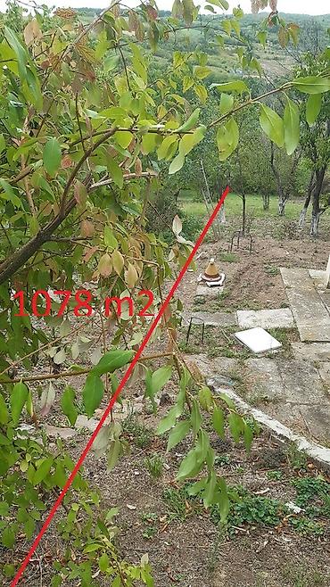 kuce na prodaju kovin: Građevinsko zemljište 1.078 m2 – Sovljak, 2 km od Velike Remete (3 km — 3