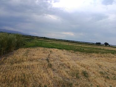 жер участок сатылат бишкек: 280 соток, Айыл чарба үчүн