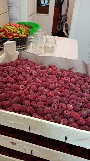 Малина: Малина Платная доставка — 4