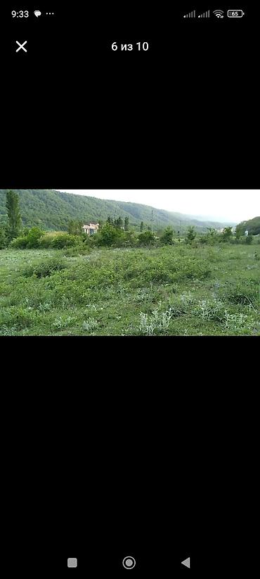 d4 50: 50 sot, Mülkiyyətçi, Kupça (Çıxarış) — 6