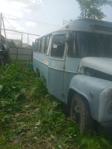 купить мтз 82 бу в беларуси: Продаю автобус на базе газ 53
в хорошем состоянии