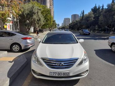 аренда парковки: Сутки, Hyundai, Без депозита