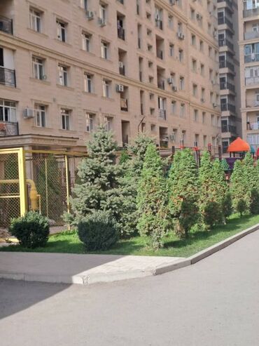 купить элитную квартиру: 2 комнаты, 37 м², Элитка, 9 этаж, Косметический ремонт