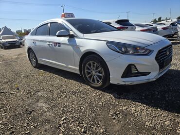 Hyundai: Арендага берилет. 1800с (+30)