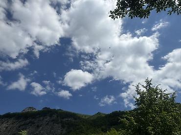 бак для воды: Dırmaşan qızılgül kolları – dekorativ sarmaşıq gül - Növ — 9