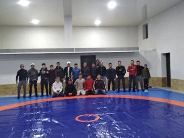 Другое для спорта и отдыха: Борцовский ковер и маты.Гарантия от 5-10 лет олимпийский комплект — 12