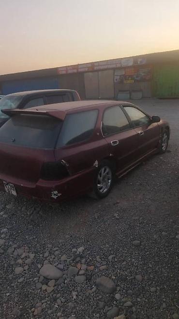 1995: Honda Accord: 1995 г., Автомат, Бензин, Универсал — 2