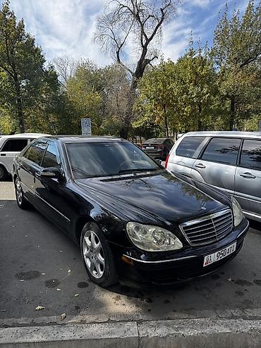 e 55 amg: Mercedes-Benz S-Class: 2003 г., 4.3 л, Автомат, Бензин, Седан — 10