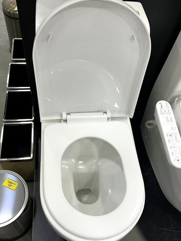 дачный умывальник с подогревом: Унитаз Напольный, Новый, Материал: Керамика
