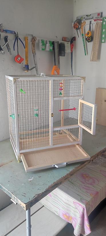 kiçik heyvanlar: Papuqay,dovşan,hamster,şinşila,bildirçin,cücə,xamyak,pişik,quş,tısbağa — 3