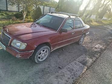 Mercedes-Benz W124: 1996 г., Седан at lalafo.kg Mercedes-Benz W124: 1996 г., Седан
