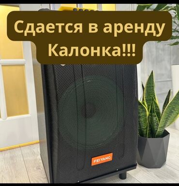 купить караоке микрофон: Аренда Аренда . Калонка + микрофон
