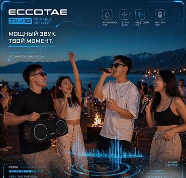 dji mic 1: Портативная колонка караоке система с двумя микрофонами Eccotae TK-118 — 10