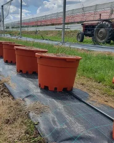 Baštenski alati i oprema: 1,5mx100m- Agrotekstil-Premium-CENA JE SA DOSTAVOM, nemate nikakve — 10
