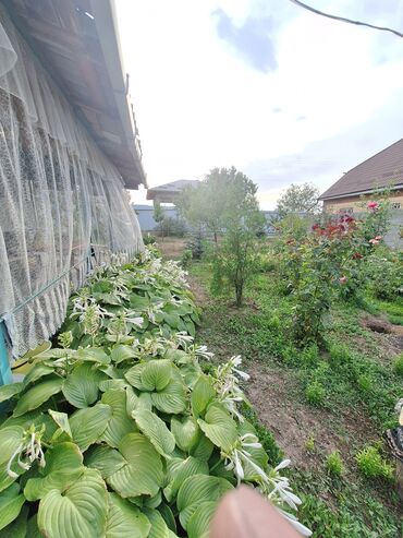 Продажа домов: Дача, 35 м², 2 комнаты, Собственник, Старый ремонт — 7