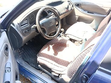 авто толщиномер: Chevrolet Lanos: 2008 г., 1.5 л, Механика, Бензин, Седан — 5