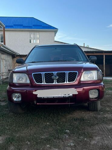 subaru legacy 2008: Subaru Forester: 2000 г., 2 л, Автомат, Бензин, Кроссовер