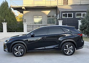 k7 2019: Lexus NX: 2019 г., 2.5 л, Вариатор, Гибрид, Кроссовер — 5