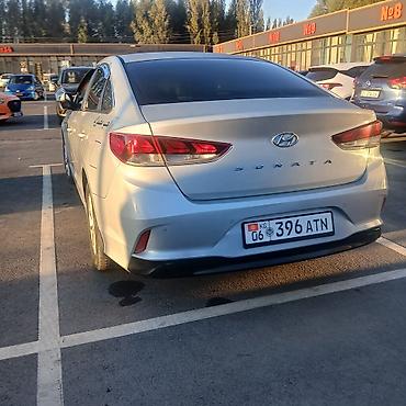 kia 2016: Hyundai Sonata: 2019 г., 0.2 л, Автомат, Бензин, Седан — 3