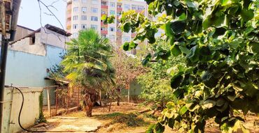 Həyət evləri və villaların satışı: 5 otaqlı, 260 kv. m, Orta təmir -da lalafo.az — 6 Həyət evləri və villaların satışı: 5 otaqlı, 260 kv. m, Orta təmir — 6