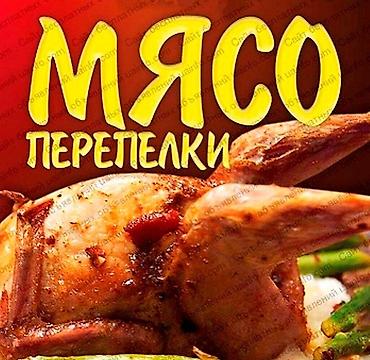 Мясистые перепелиные тушки вес 300 грамм. Мы в центре города