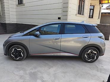 двухскат спринтер: BYD Dolphin: 2023 г., Автомат, Электромобиль, Хэтчбэк — 4