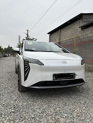 камера на машину: Электромобиль GAC Aion Y (кроссовер) Основные характеристики: - Тип — 1