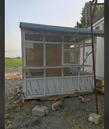 saat alisi satisi: Salam ünvan Goranboy rayonu delimemedli qəsəbəsi yeni yığılıb — 1