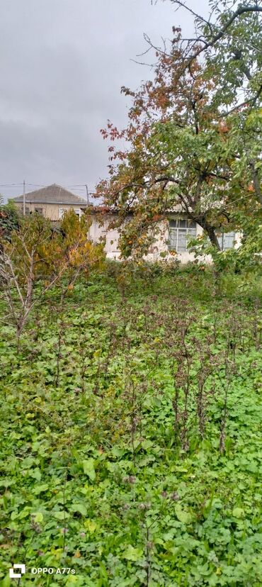 аренда продажа недвижимости: 19 sot, Tikinti, Mülkiyyətçi