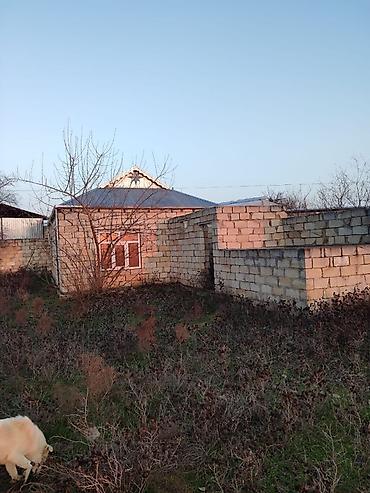 Bağ evlərinin satışı: Şirvan şəhər Hacıqəhrəmanlı qəsəbəsi Fərman quliyev küçəsi Həyətyanı — 3