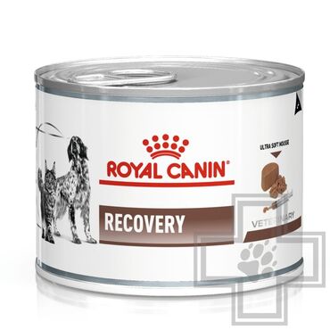 Зоотовары: Royal Canin Recovery - полнорационный диетический корм для собак и