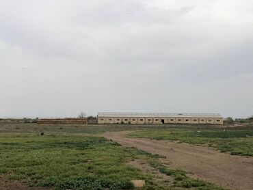 Kommersiya daşınmaz əmlakının satışı: 150 HEKTAR ƏRAZİ satılır İMİŞLİDƏ 110 HEKTAR Mülkiyyət Əkin — 14