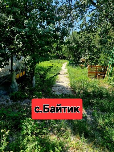 земельный участок с домом: Дом, 20 м², 1 комната, Собственник, Косметический ремонт