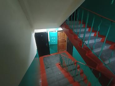 Другие виды отделочных работ: 3-5 лет опыта — 5